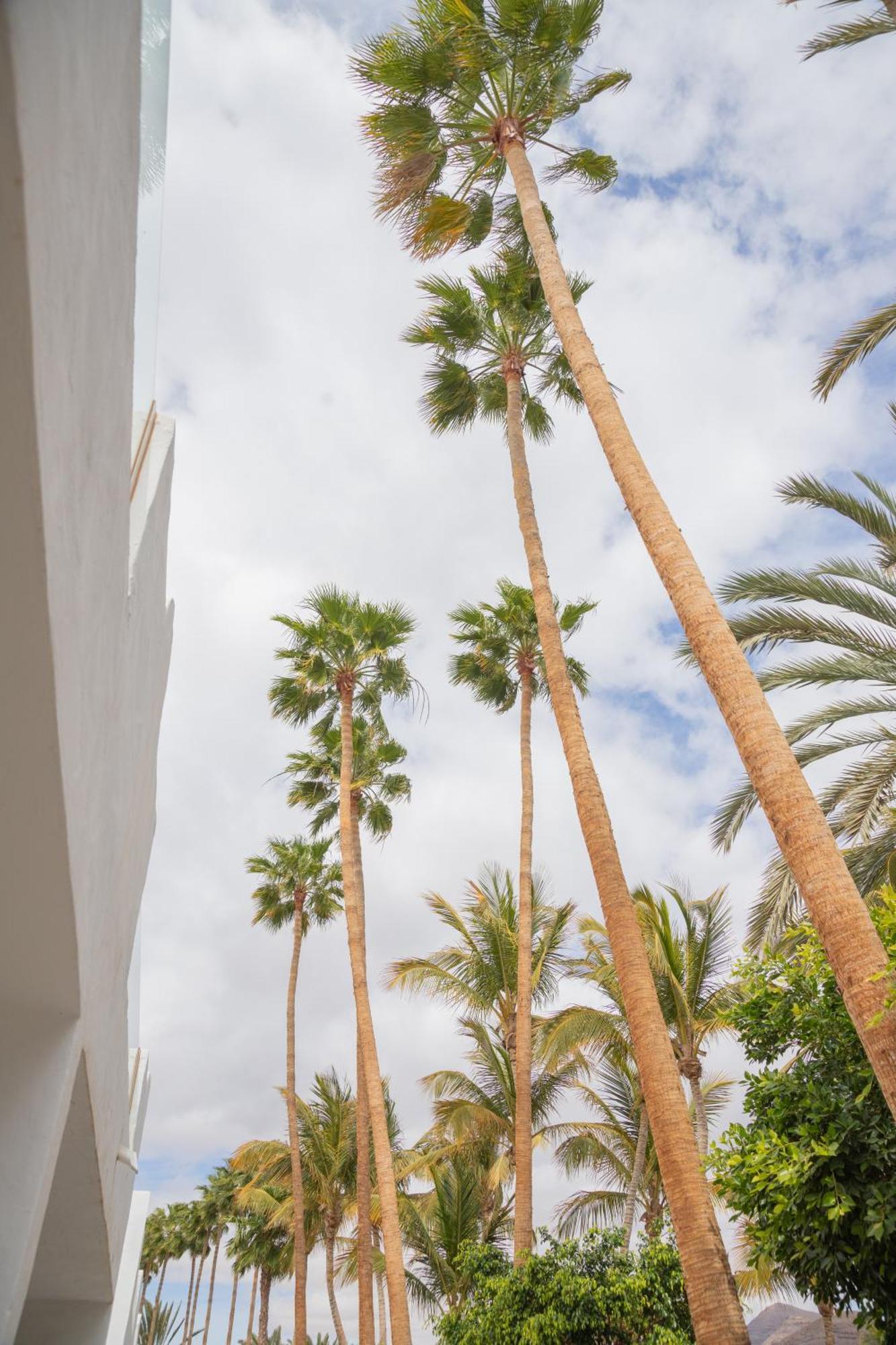 Palm Beach Fuerteventura Tarajalejo Exteriér fotografie